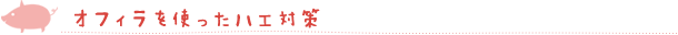 オフィラを使ったハエ対策