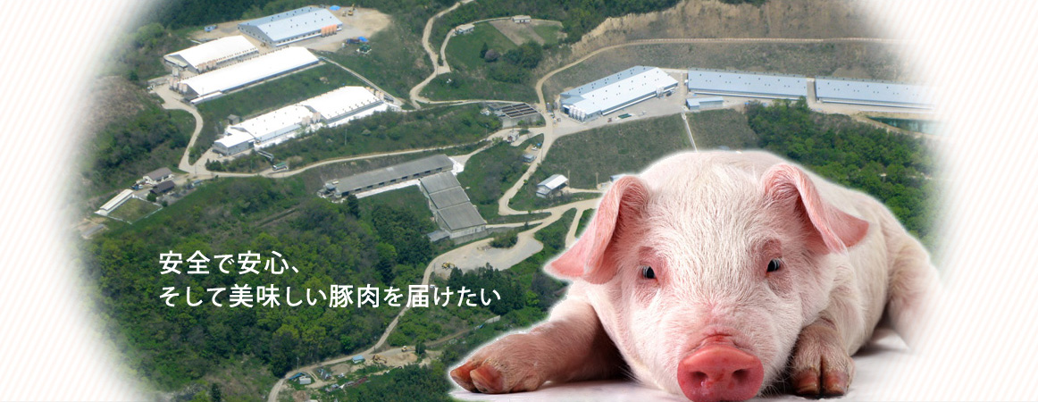 安全で安心、そして美味しい豚肉を届けたい