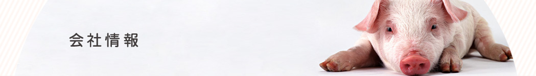 会社情報
